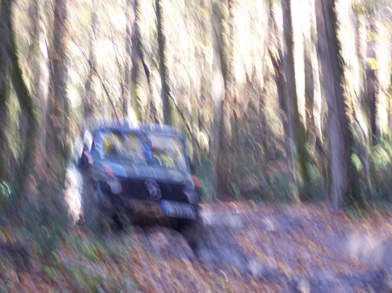 100_3269.jpg