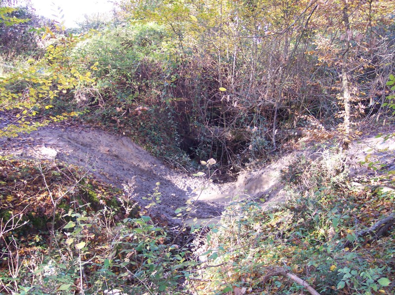 100_3272.jpg