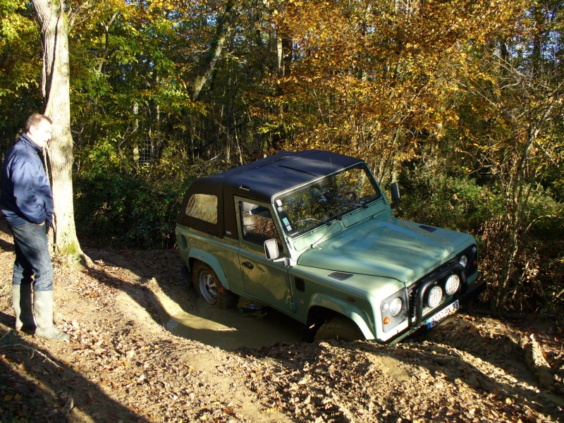 P1010290.jpg