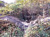 100_3272.jpg