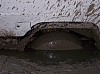100_3306.jpg
