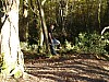 DSC04814.jpg