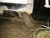 DSC04831.jpg